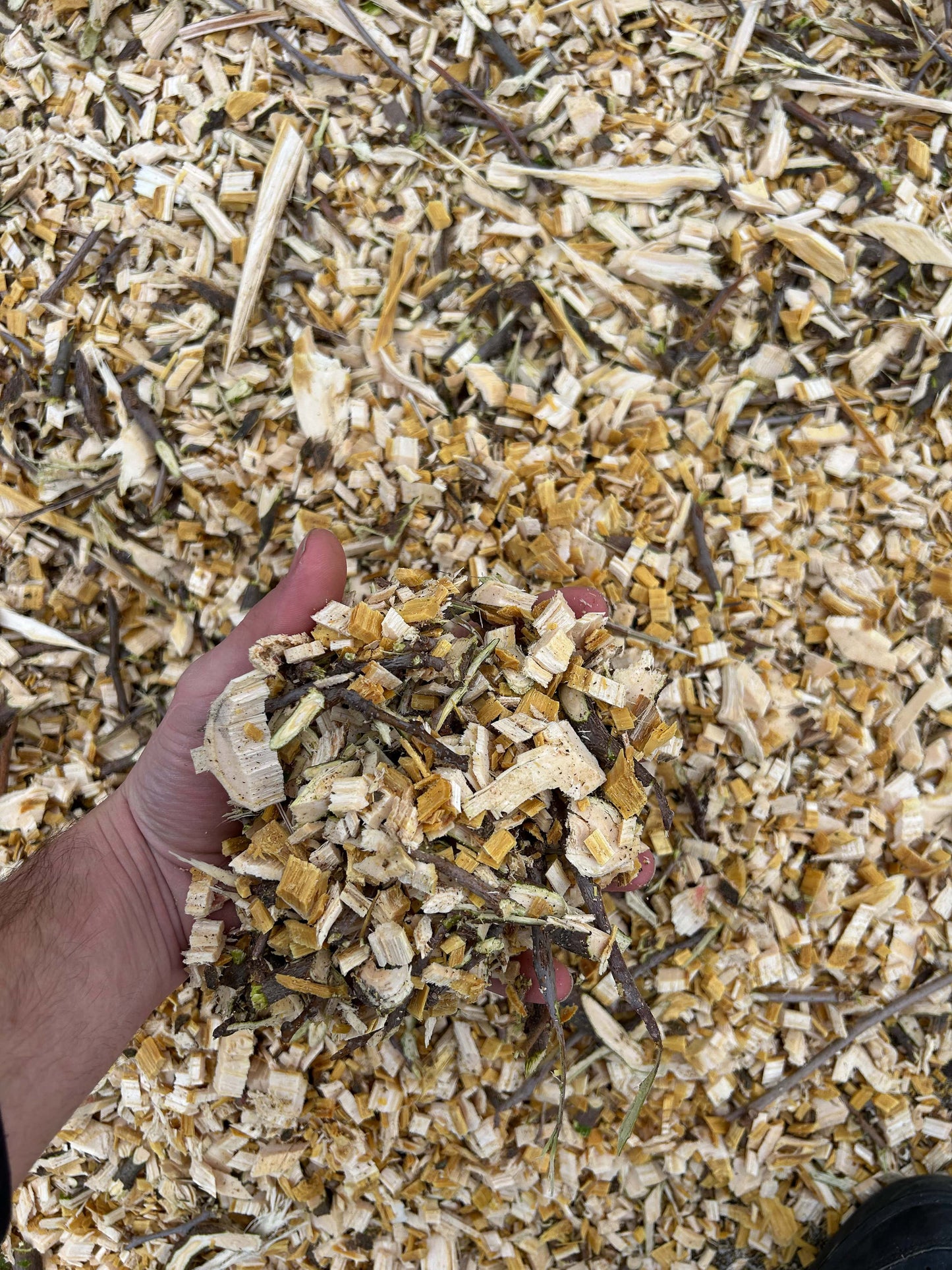 Brugger HX14 STVO-Zulassung